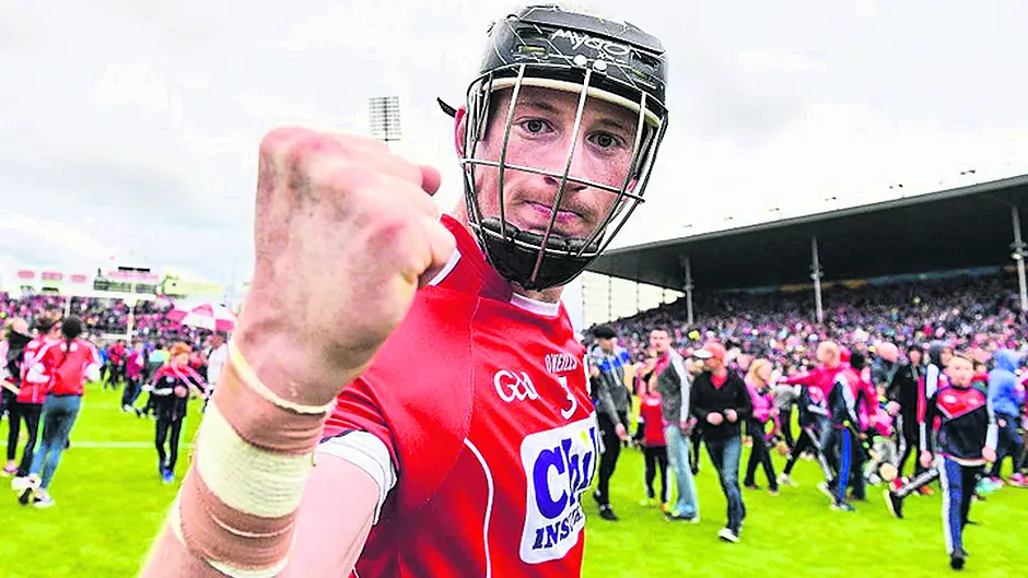 ‘He has lived in the city all his life, but has West Cork-ness in his breeding' Image