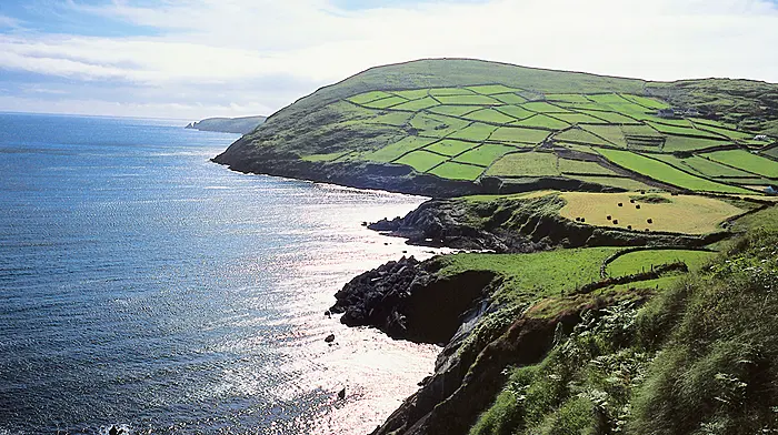 Poor wi-fi is affecting progress of Bantry/Beara Image