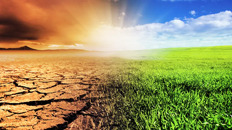 IFA calls for a climate action programme Image