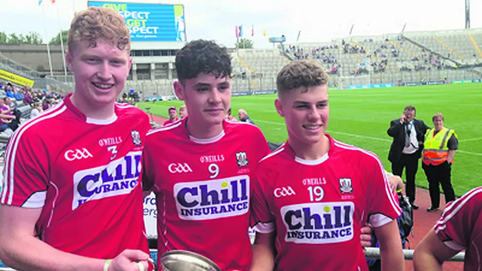 West Cork hurlers shine on big stage Image