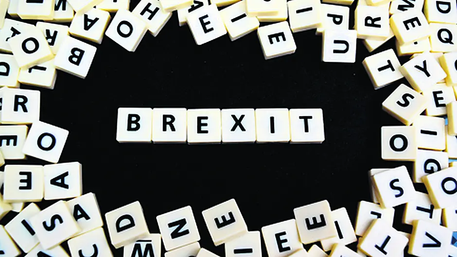 British government ‘flip-flopping' ahead of Brexit says MEP Ní Riada Image