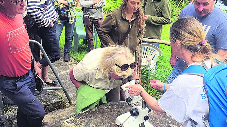 The Ellen Hutchins festival welcomes home an old friend Image
