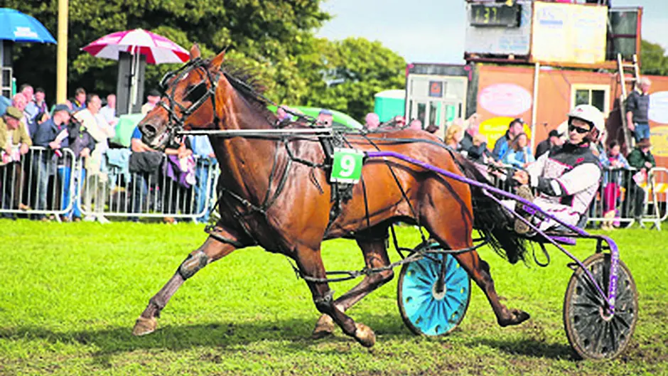 Rhyds Destiny races to top prize at Red John festival Image