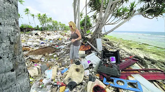Festival's free screening of film on our ‘plastic oceans' Image
