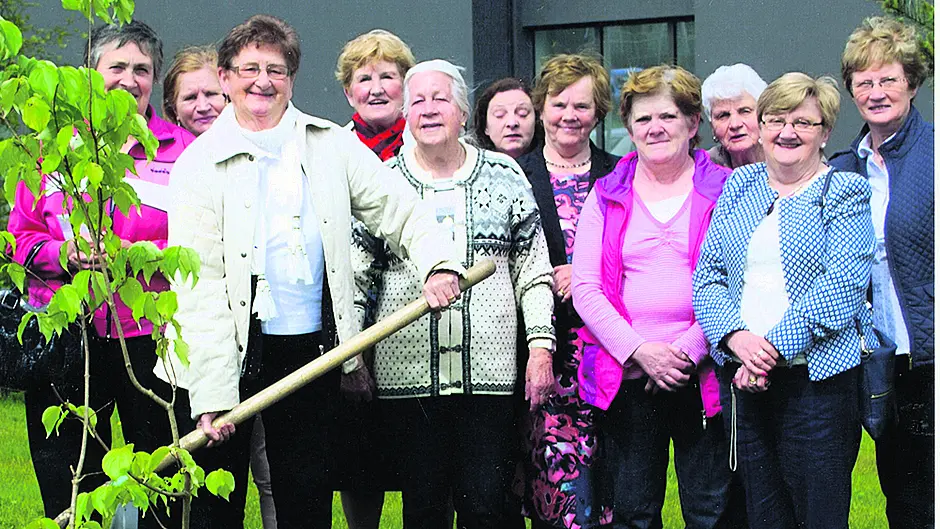 Friendship, camaraderie – and some craic! Image