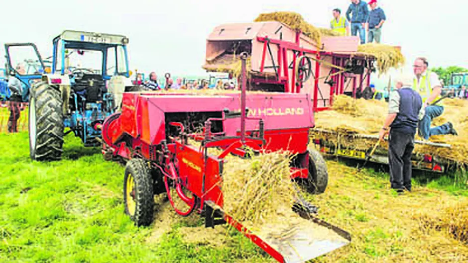 Huge turnout for Ford 100 event in Bal Image