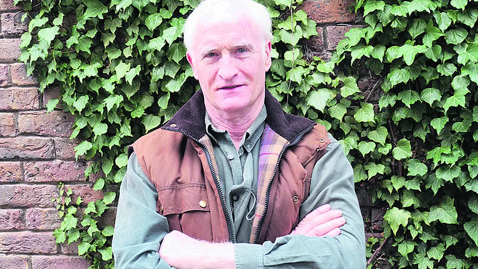 Bees, breakfasts and Beara are all part of Taste of West Cork festival Image