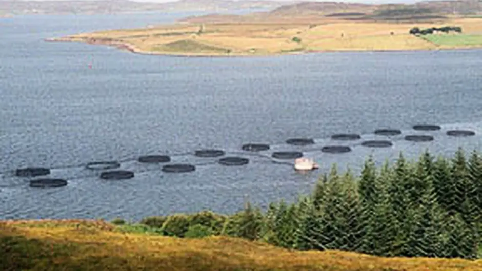 Bantry salmon farm decision by December Image