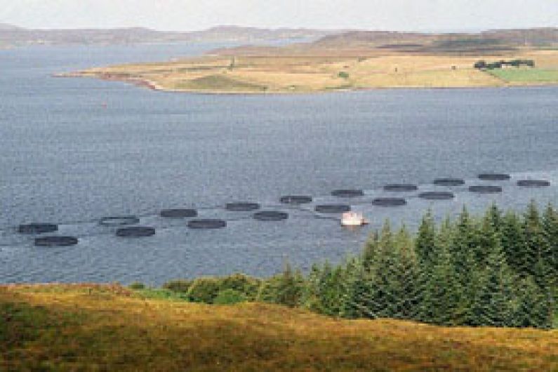 Bantry salmon farm decision by December Image