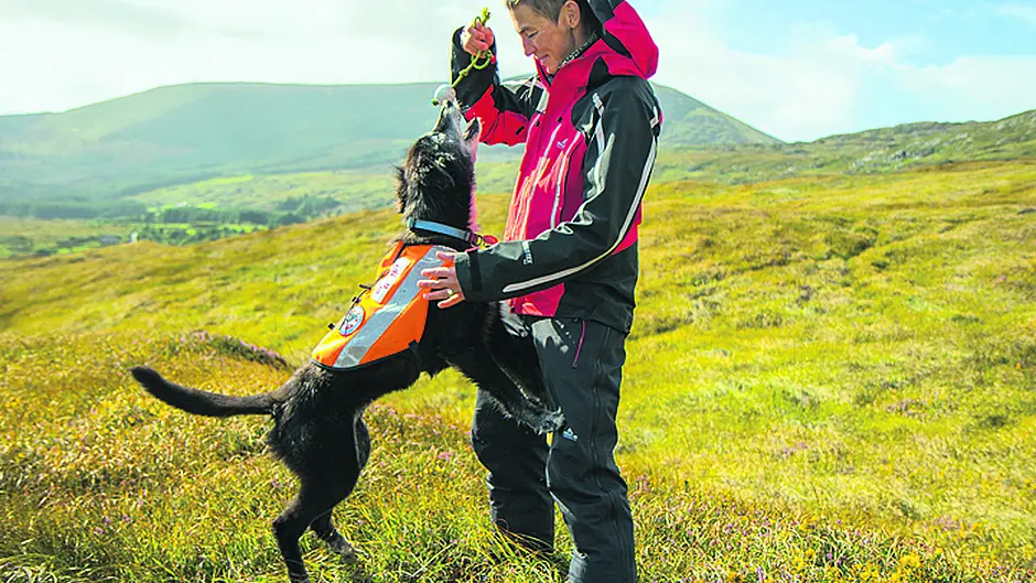 No paws for thought during Koiru's eight years as a search & rescue dog Image