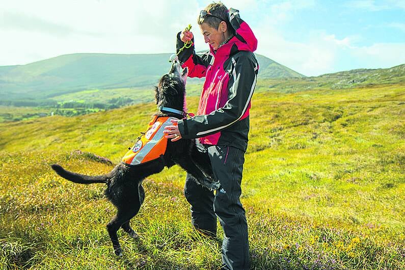 No paws for thought during Koiru's eight years as a search & rescue dog Image