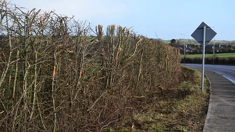 Senator calls for Bandon by-pass funding Image