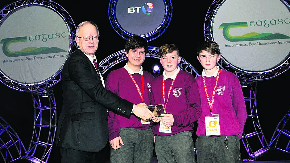 Schull students win Teagasc special award for agroforestry project Image