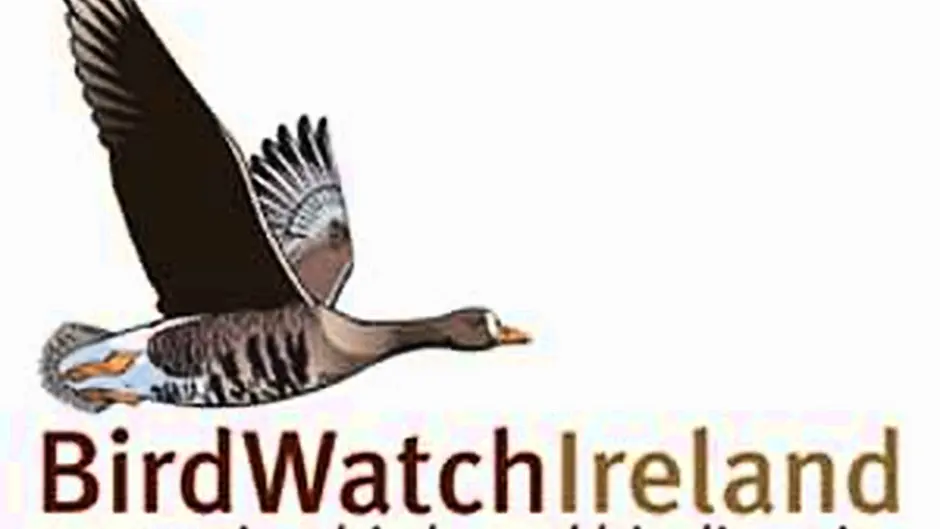 Dawn-to-dusk bird event for all ages Image