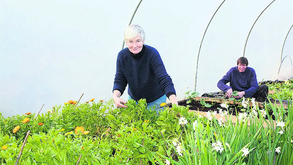 Bumblebee Farm knows the real powers of flowers Image