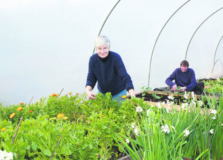 Bumblebee Farm knows the real powers of flowers Image