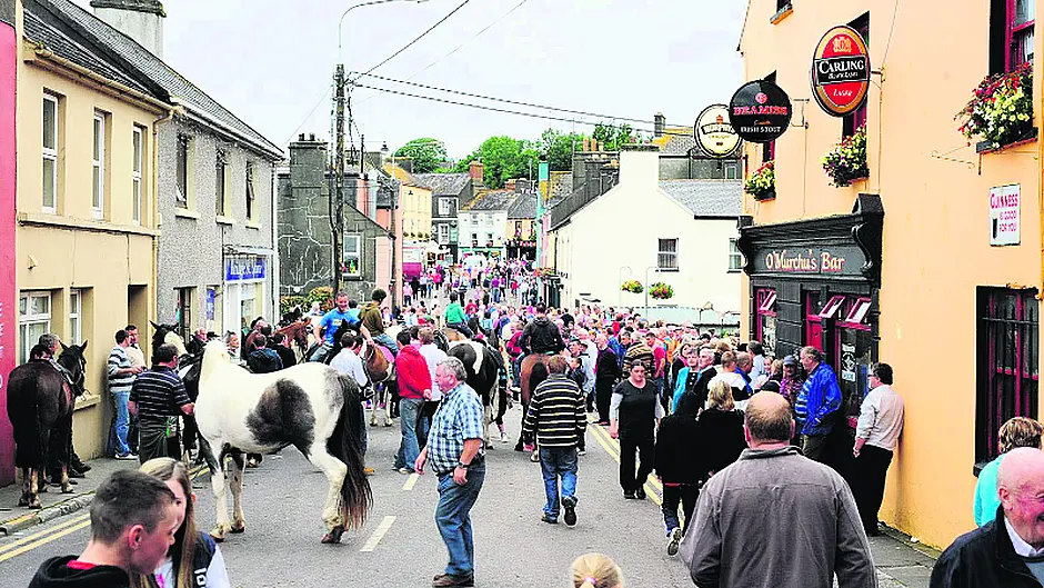 Casual trading by-laws could be ‘death knell' for local horse fairs Image