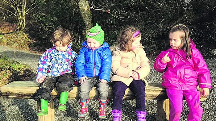 Rineen's famous fairies appear to have upped sticks Image