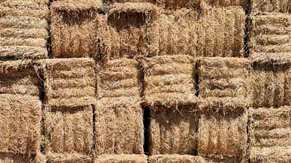 Theft of hay bales is being investigated Image