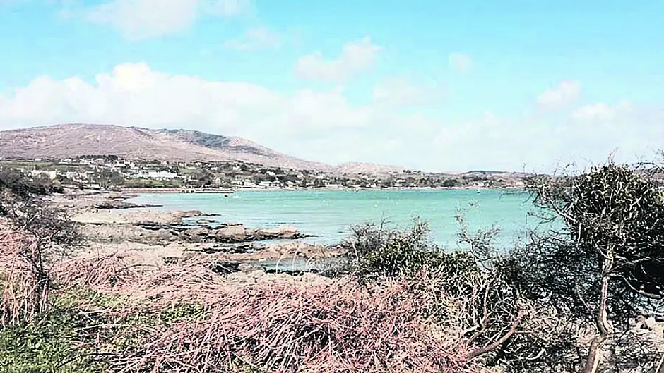 Three sources targeted for funds to build 225-berth Schull marina Image