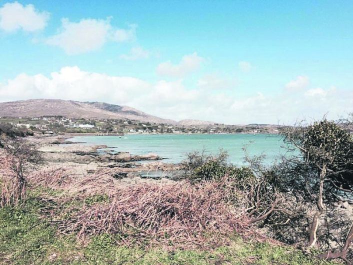 Three sources targeted for funds to build 225-berth Schull marina Image