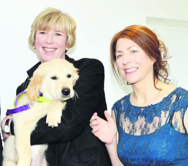 Dogs for Disabled charity seeks help Image