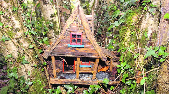 The magic returns as fairies are re-housed in Rineen Woods Image