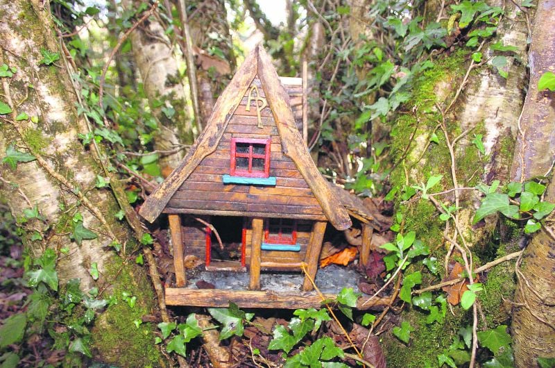 The magic returns as fairies are re-housed in Rineen Woods Image