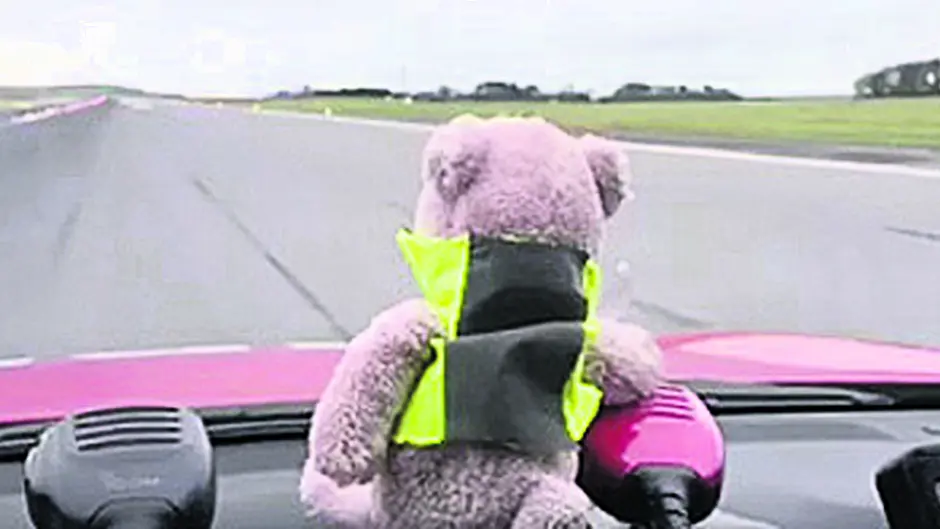Forgotten Teddy is flying high after week at airport Image