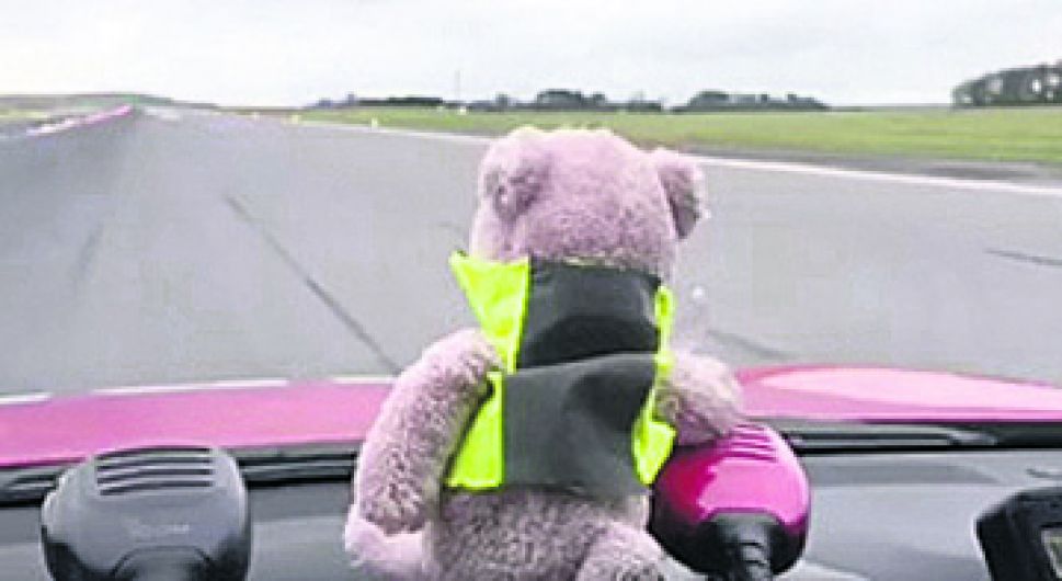 Forgotten Teddy is flying high after week at airport Image