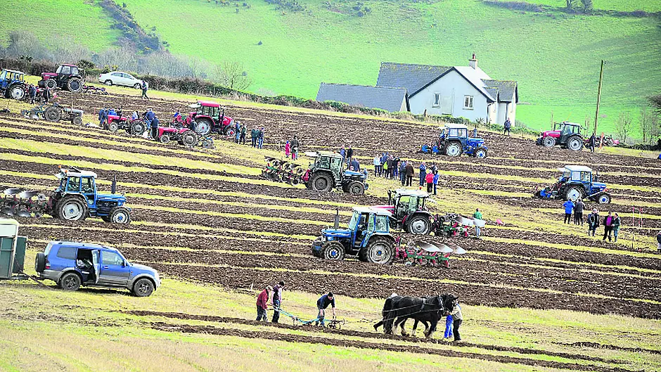 Large turnout for Clogagh ploughing Image