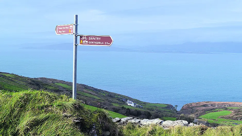 ‘Nobody wants salmon farm in Bantry Bay', local resident tells appeal board Image