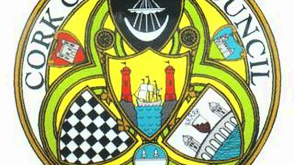 Arts grants are unveiled by County Council Image