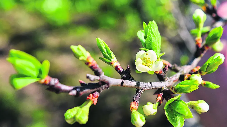Springtime ‘life force' is almost palpable Image