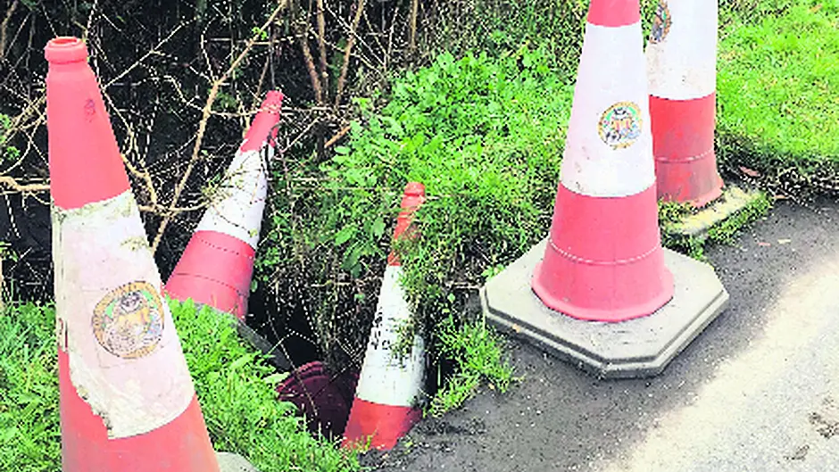 Oh cone! Oh cone! You wait for one ... and then six come along Image