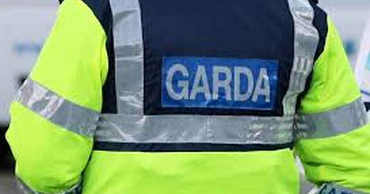 Breaking: Male arrested following burglaries and ramming of garda car ...