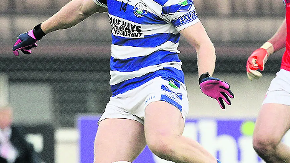 Resilient Rebels will bounce back insists O'Neill Image