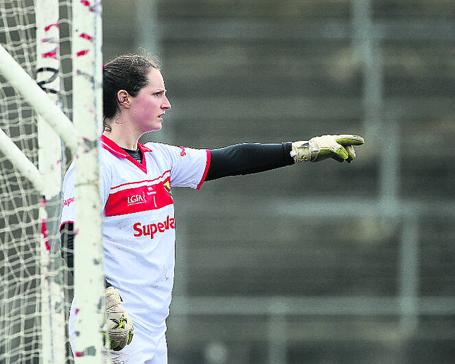 ‘Cork legends deserve time to make call over futures' Image