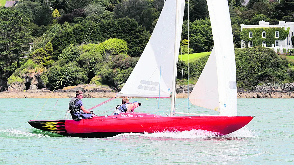 Locals are breathing new life into Glandore's fleet of Dragons Image