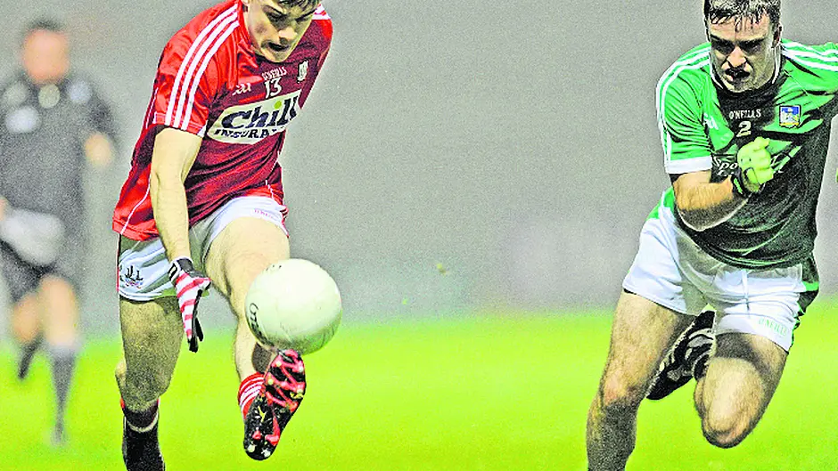 Murphy feels Rebels can spring surprise on Kerry Image