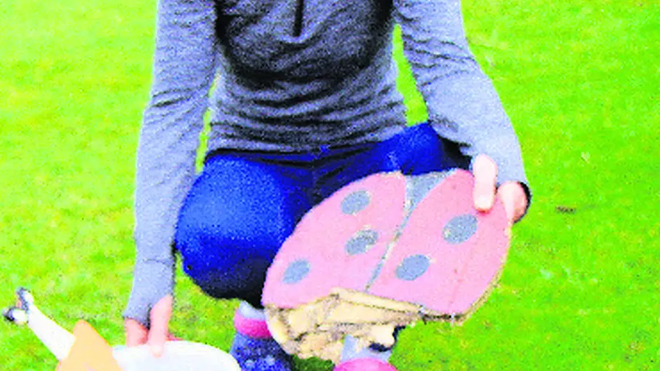 Local fairies are left homeless by ‘heartless' Coillte Image