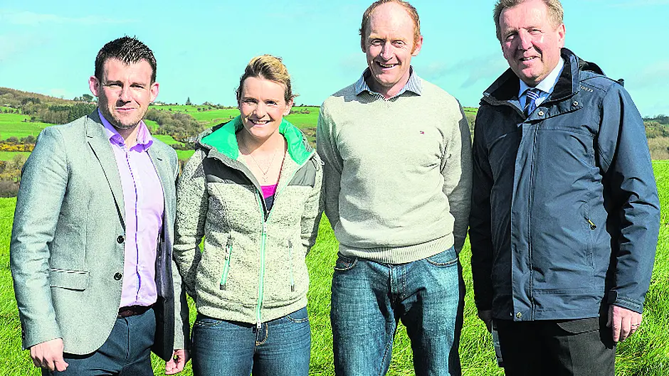 Recommended list of grass and white clover varieties launched Image