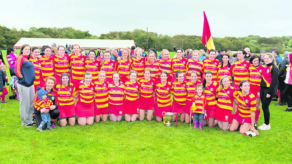 Newcestown show the stuff of champs Image