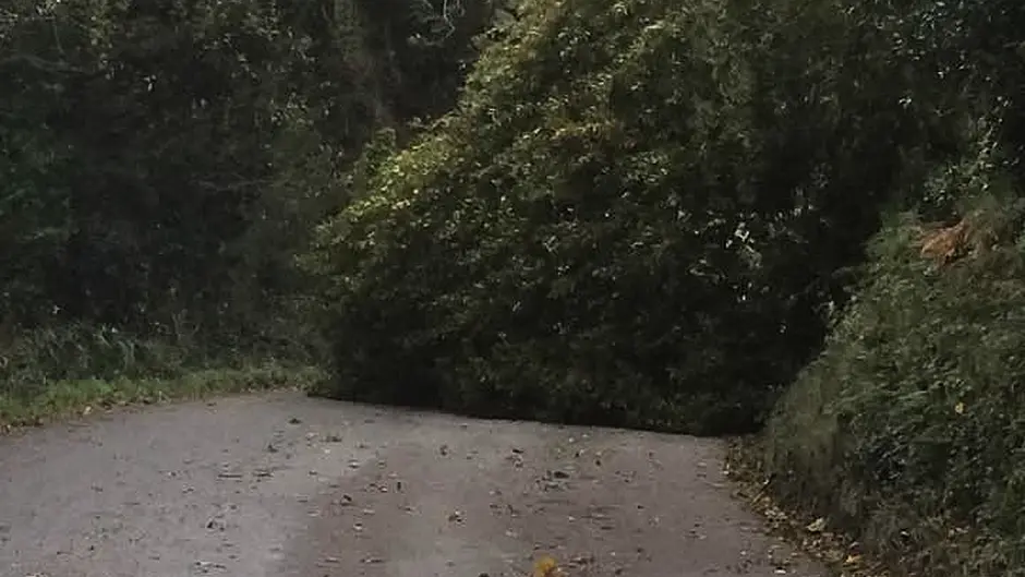 Storm Ophelia: ESB Networks says 120,000 customers without power Image