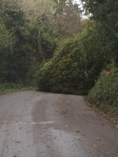 Storm Ophelia: ESB Networks says 120,000 customers without power Image
