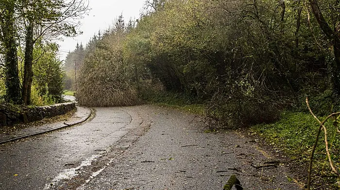 Clean up operation begins across the county Image