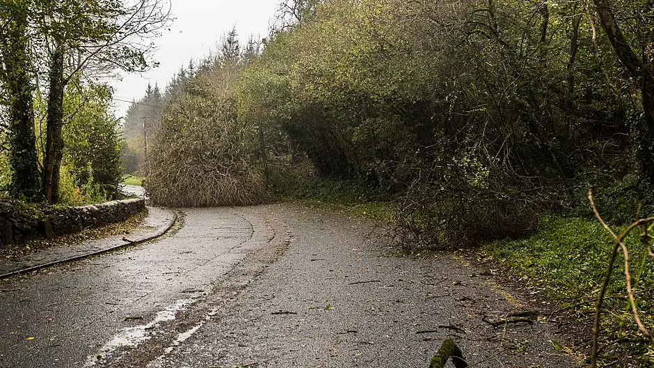 Clean up operation begins across the county Image