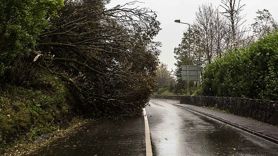 ESB crews working overtime to restore power supplies across West Cork Image