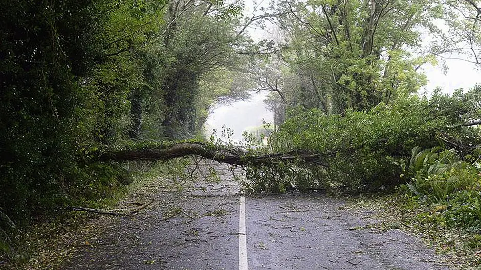 Public should think before making an insurance claim Image