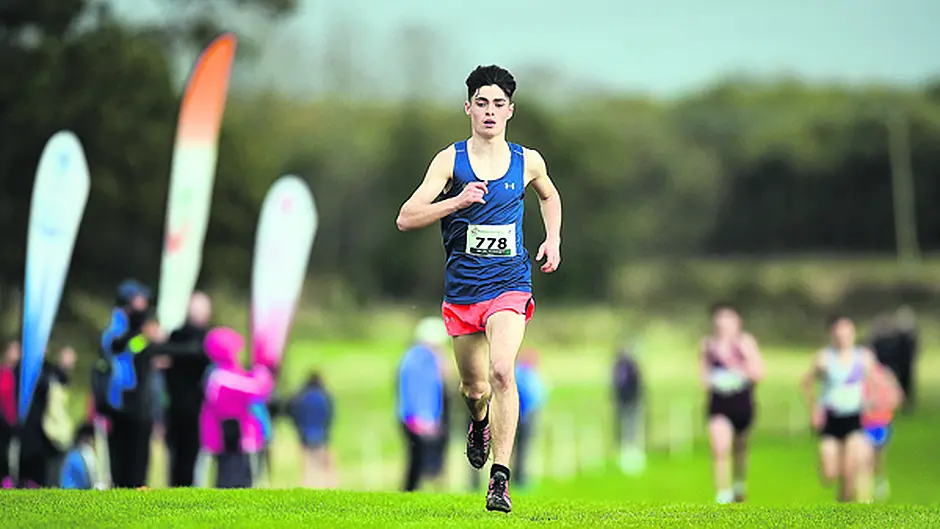 Darragh and Lara come out on top Image